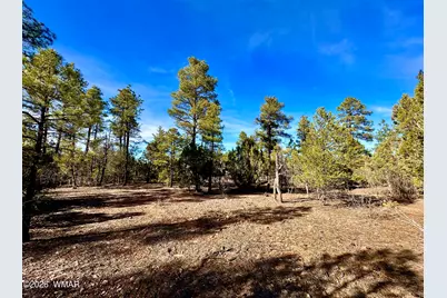 321 W Aspen Trail, Show Low, AZ 85901 - Photo 8