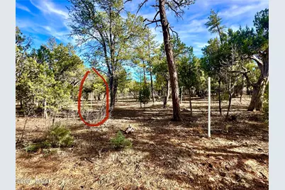 321 W Aspen Trail, Show Low, AZ 85901 - Photo 10