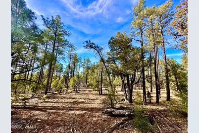 321 W Aspen Trail, Show Low, AZ 85901 - Photo 6