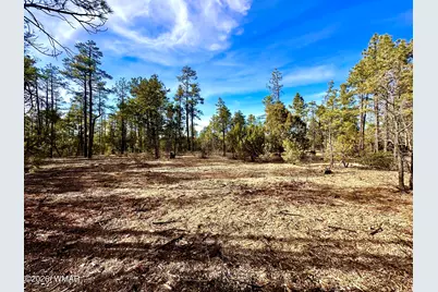 321 W Aspen Trail, Show Low, AZ 85901 - Photo 4