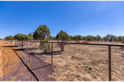 000 Aubri Lane, Show Low, AZ 85901 - Photo 4