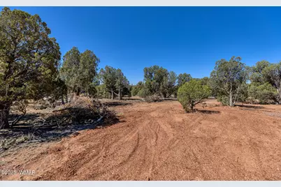000 Aubri Lane, Show Low, AZ 85901 - Photo 6