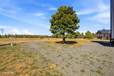 2281 Meadow Lane, Overgaard, AZ 85933 - Photo 6