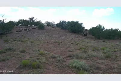 Tbd Concho 10Ac, Concho, AZ 85924 - Photo 20