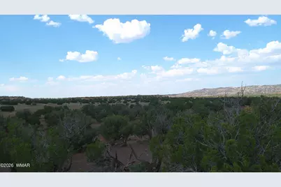 Tbd Concho 10Ac, Concho, AZ 85924 - Photo 14