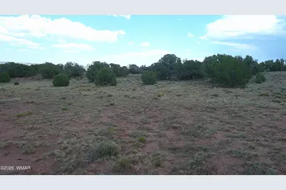 Tbd Concho 10Ac, Concho, AZ 85924 - Photo 22