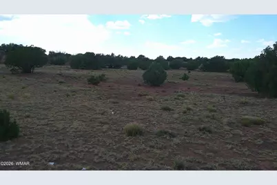 Tbd Concho 10Ac, Concho, AZ 85924 - Photo 4