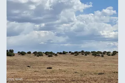 1342 Concho Highway, Concho, AZ 85924 - Photo 2