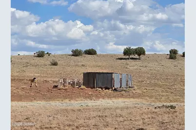 1342 Concho Highway, Concho, AZ 85924 - Photo 14