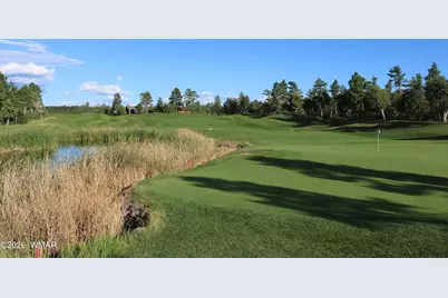 520 N Silverleaf Lane, Show Low, AZ 85901 - Photo 60