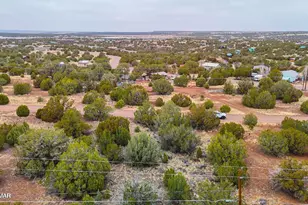 8423 Apache Dr, Show Low, AZ 85901 - Photo 1