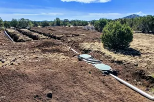 1638 Trinity Pl, Show Low, AZ 85901 - Photo 1