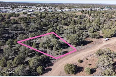 1836 Rocky Bottom Place, Show Low, AZ 85901 - Photo 4