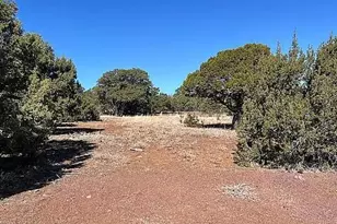 28 N8620 Parcel 107-38-002G, Concho, AZ 85924 - Photo 1