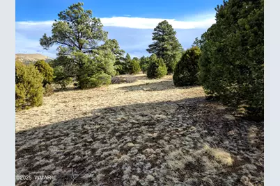 Lot 8 Red Cabin Ranch #8, Unit Lot8, Vernon, AZ 85940 - Photo 22