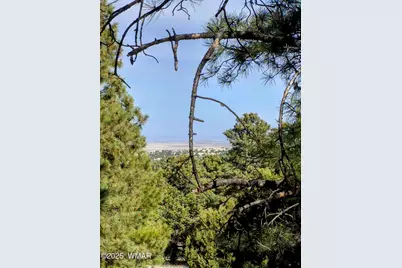 Lot 8 Red Cabin Ranch #8, Unit Lot8, Vernon, AZ 85940 - Photo 12