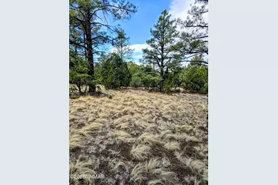 Lot 8 Red Cabin Ranch #8, Unit Lot8, Vernon, AZ 85940 - Photo 28