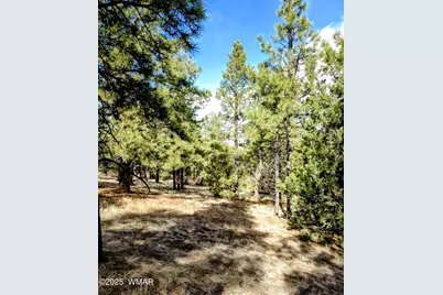 Lot 8 Red Cabin Ranch #8, Unit Lot8, Vernon, AZ 85940 - Photo 4