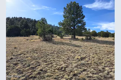 Lot 8 Red Cabin Ranch #8, Unit Lot8, Vernon, AZ 85940 - Photo 24