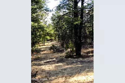 Lot 8 Red Cabin Ranch #8, Unit Lot8, Vernon, AZ 85940 - Photo 8