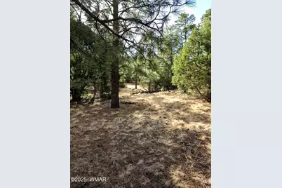 Lot 8 Red Cabin Ranch #8, Unit Lot8, Vernon, AZ 85940 - Photo 16