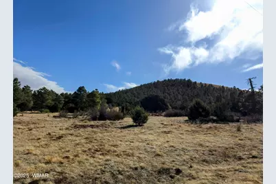 Lot 8 Red Cabin Ranch #8, Unit Lot8, Vernon, AZ 85940 - Photo 30