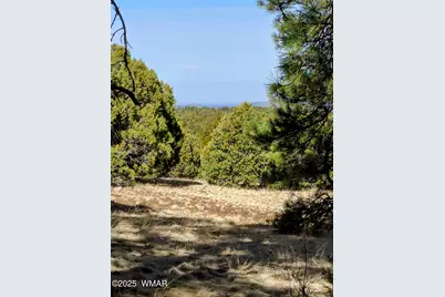 Lot 8 Red Cabin Ranch #8, Unit Lot8, Vernon, AZ 85940 - Photo 26