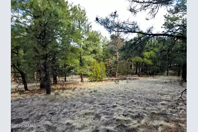 Lot 8 Red Cabin Ranch #8, Unit Lot8, Vernon, AZ 85940 - Photo 6