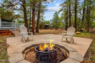 2236 Cross Country Rd, Overgaard, AZ 85933 - Photo 44