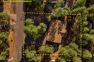 2202 Forest Park Dr, Overgaard, AZ 85933 - Photo 48