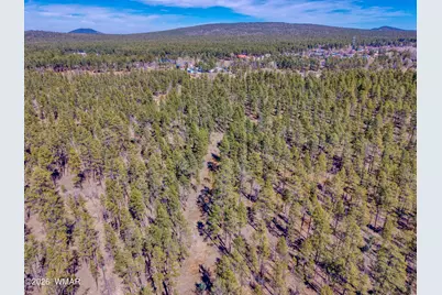 4 Acres E Osprey Lane, Pinetop, AZ 85935 - Photo 10