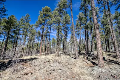 4 Acres E Osprey Lane, Pinetop, AZ 85935 - Photo 1