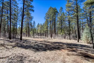 4 Acres E Osprey Lane, Pinetop, AZ 85935 - Photo 6