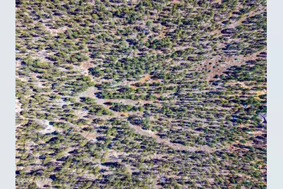 4 Acres E Osprey Lane, Pinetop, AZ 85935 - Photo 8