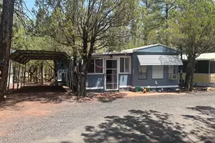 4800 S 28th St, Show Low, AZ 85901 - Photo 2