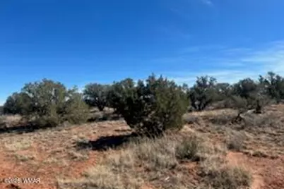 4401 Indian Bend Road, Snowflake, AZ 85937 - Photo 2