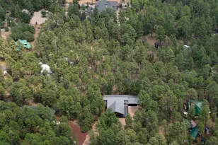 1787 S Hart Lake Ln, Lakeside, AZ 85929 - Photo 4