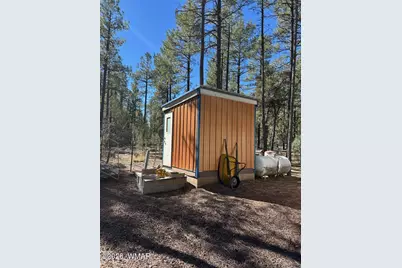 3725 Bear Trail, Lakeside, AZ 85929 - Photo 6