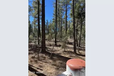 3725 Bear Trail, Lakeside, AZ 85929 - Photo 8