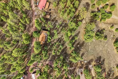 6 N Cr 2148, Alpine, AZ 85920 - Photo 20