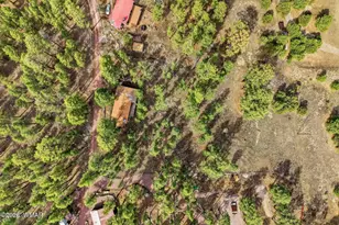 6 N Cr 2148, Alpine, AZ 85920 - Photo 20