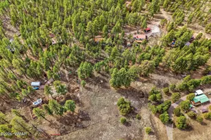 6 N Cr 2148, Alpine, AZ 85920 - Photo 22