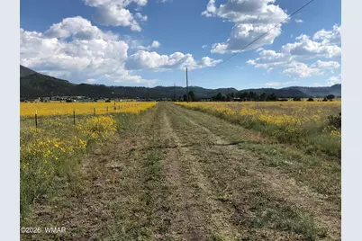 0 Tract C Tbd, Nutrioso, AZ 85932 - Photo 4