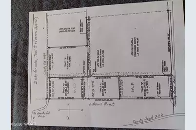 0 Tract C Tbd, Nutrioso, AZ 85932 - Photo 14