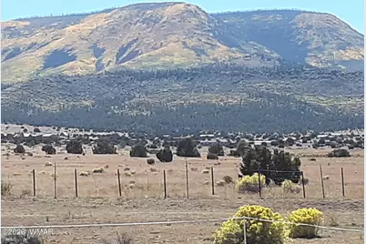 0 Tract C Tbd, Nutrioso, AZ 85932 - Photo 12