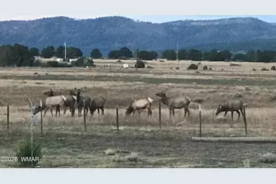 0 Tract C Tbd, Nutrioso, AZ 85932 - Photo 12