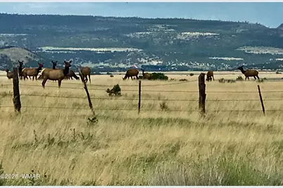 0 Tract C Tbd, Nutrioso, AZ 85932 - Photo 6