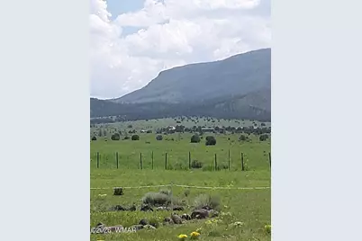 0 Tract C Tbd, Nutrioso, AZ 85932 - Photo 10