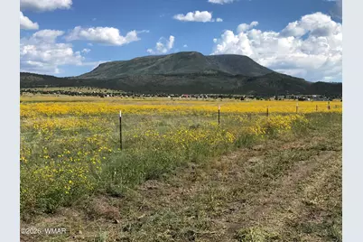 0 Tract E Tbd, Nutrioso, AZ 85932 - Photo 2