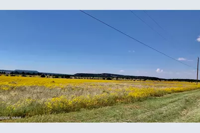 0 Tract E Tbd, Nutrioso, AZ 85932 - Photo 4